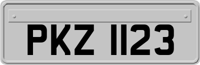 PKZ1123