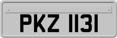 PKZ1131
