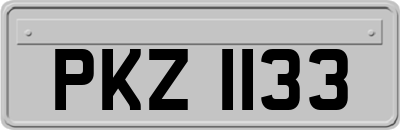 PKZ1133