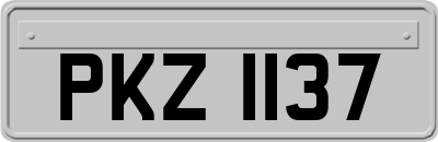 PKZ1137