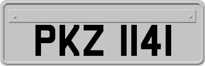 PKZ1141