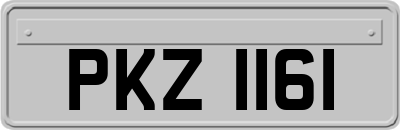 PKZ1161
