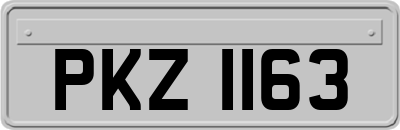 PKZ1163