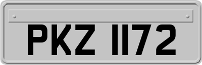 PKZ1172