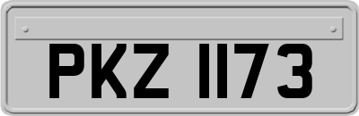 PKZ1173