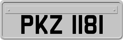PKZ1181