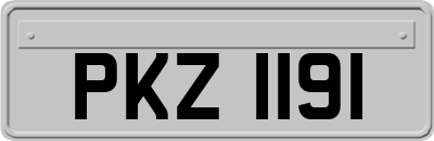 PKZ1191