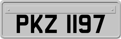 PKZ1197