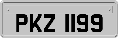 PKZ1199