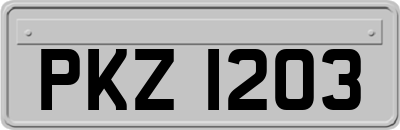 PKZ1203