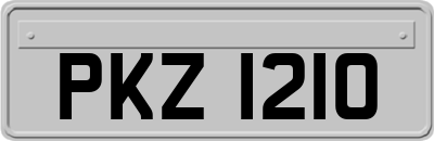 PKZ1210