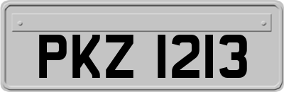 PKZ1213