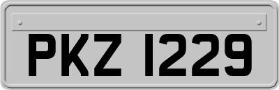 PKZ1229