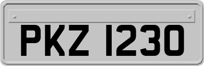 PKZ1230