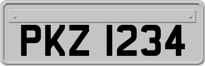 PKZ1234