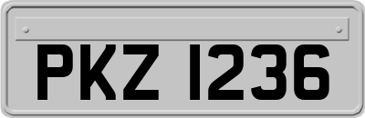 PKZ1236