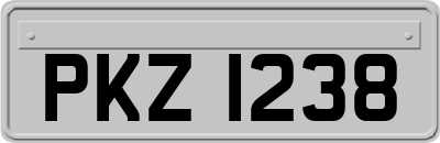 PKZ1238