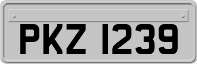 PKZ1239