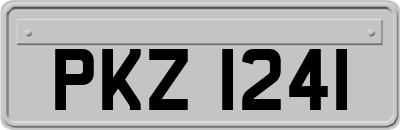 PKZ1241