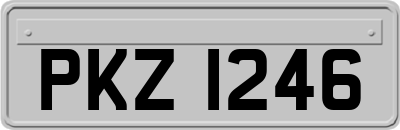 PKZ1246
