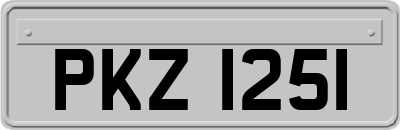PKZ1251