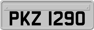 PKZ1290