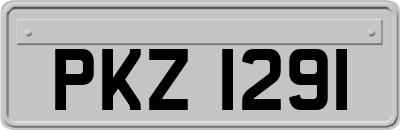 PKZ1291