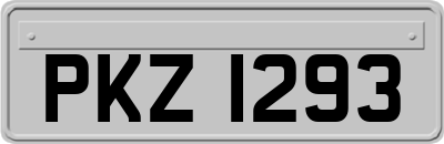 PKZ1293