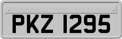 PKZ1295