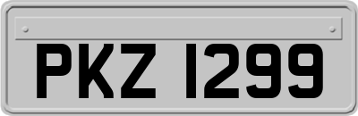 PKZ1299