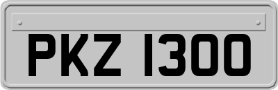 PKZ1300