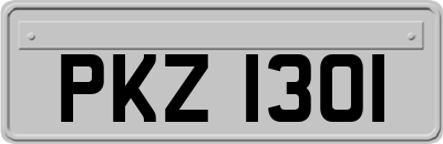 PKZ1301