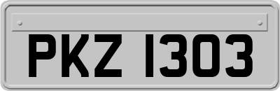 PKZ1303