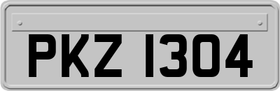 PKZ1304