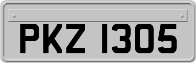 PKZ1305