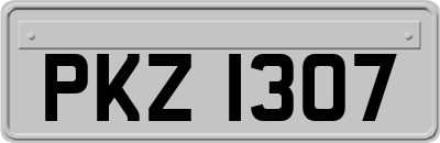 PKZ1307