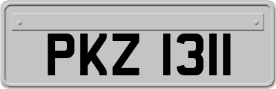 PKZ1311