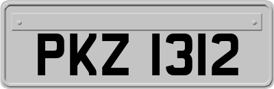 PKZ1312
