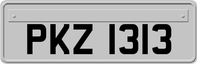 PKZ1313