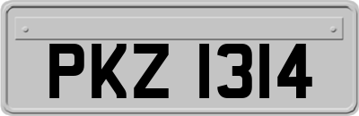 PKZ1314