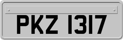 PKZ1317