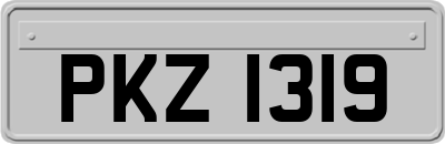PKZ1319