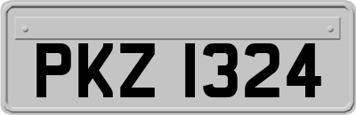 PKZ1324