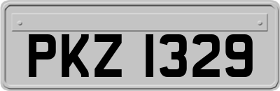 PKZ1329