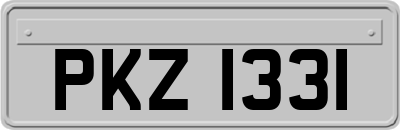 PKZ1331