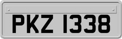 PKZ1338