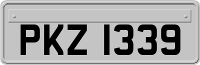 PKZ1339