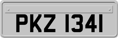 PKZ1341