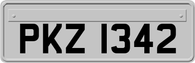 PKZ1342