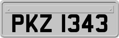PKZ1343